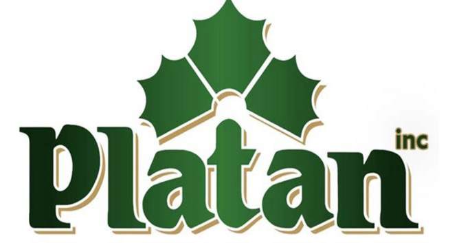 Platan Inc logo